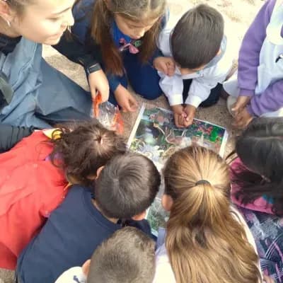 Vista desde arriba de un grupo de niños inclinados sobre una lámina ilustrada