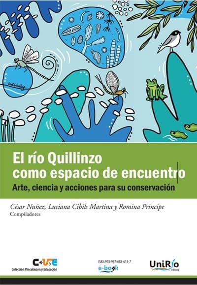 Libro Quillinzo como espacio de encuentro